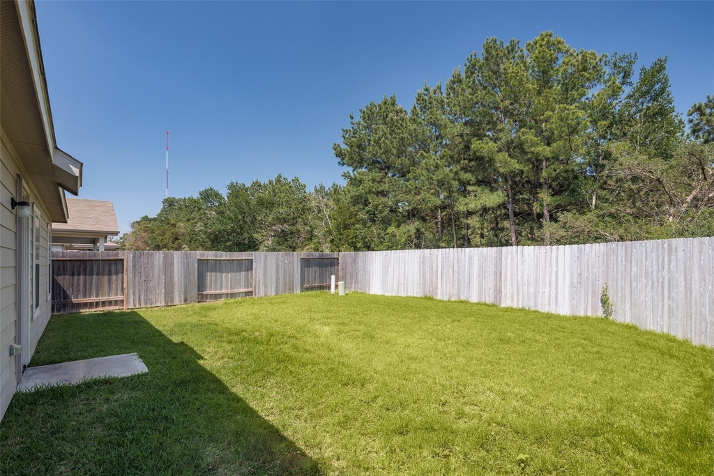 20906 Twining Rose Lane - Photo 17