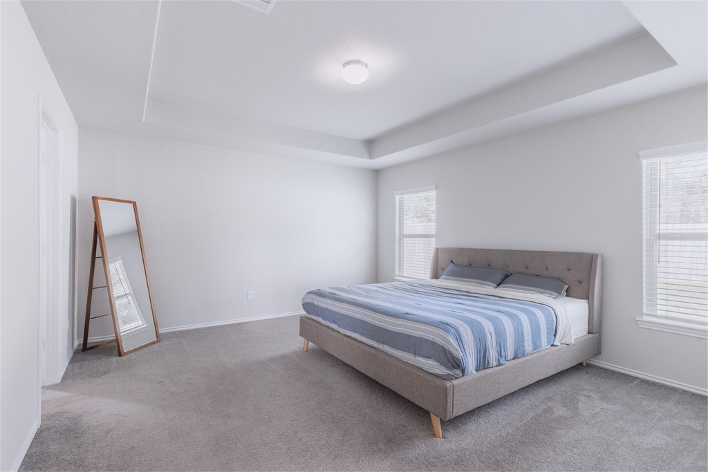 20906 Twining Rose Lane - Photo 5