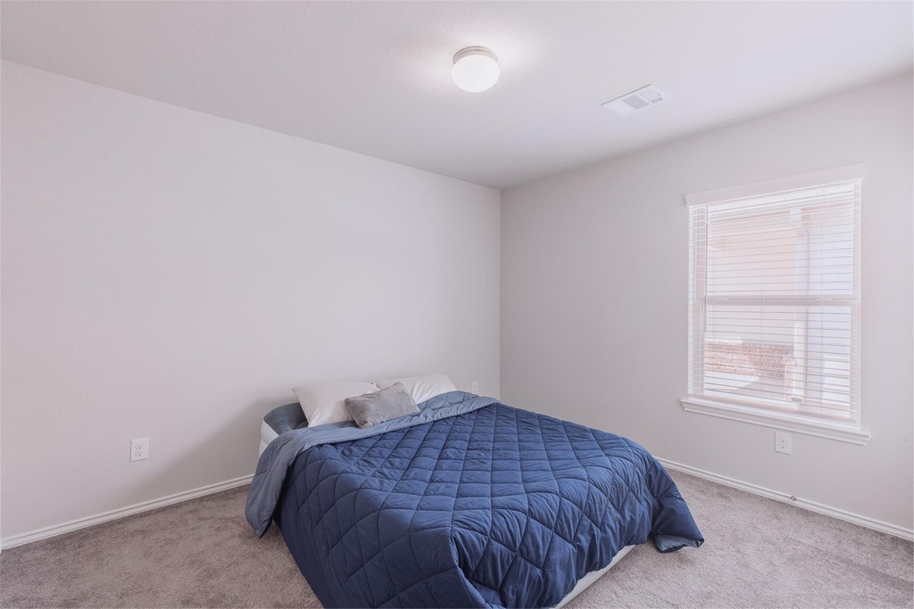 20906 Twining Rose Lane - Photo 13