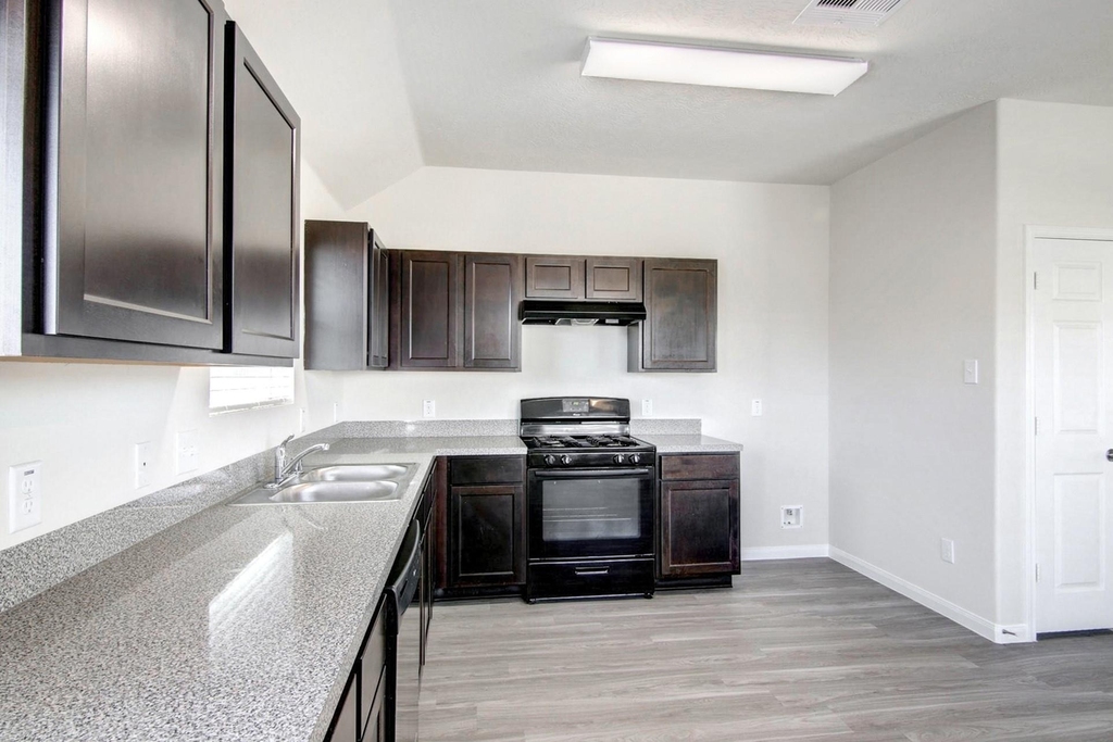 12703 Rio Nueces Lane - Photo 4