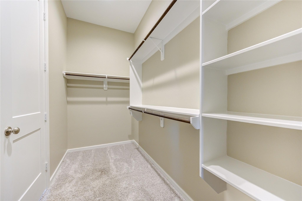 16811 Ruellia Field Road - Photo 12