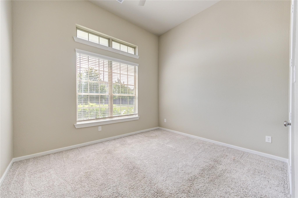 16811 Ruellia Field Road - Photo 16