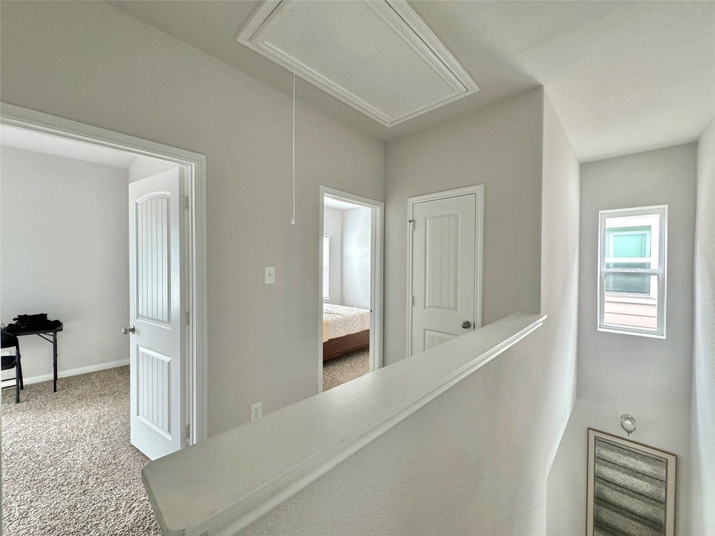 24811 Landolfi Drive - Photo 3