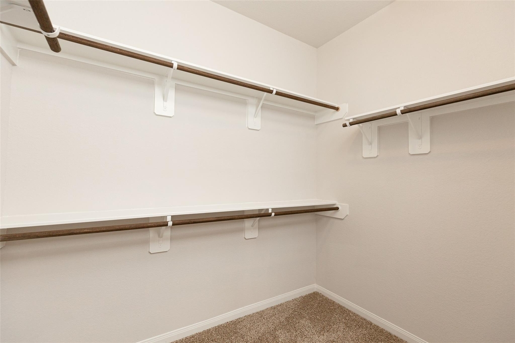 24811 Landolfi Drive - Photo 9