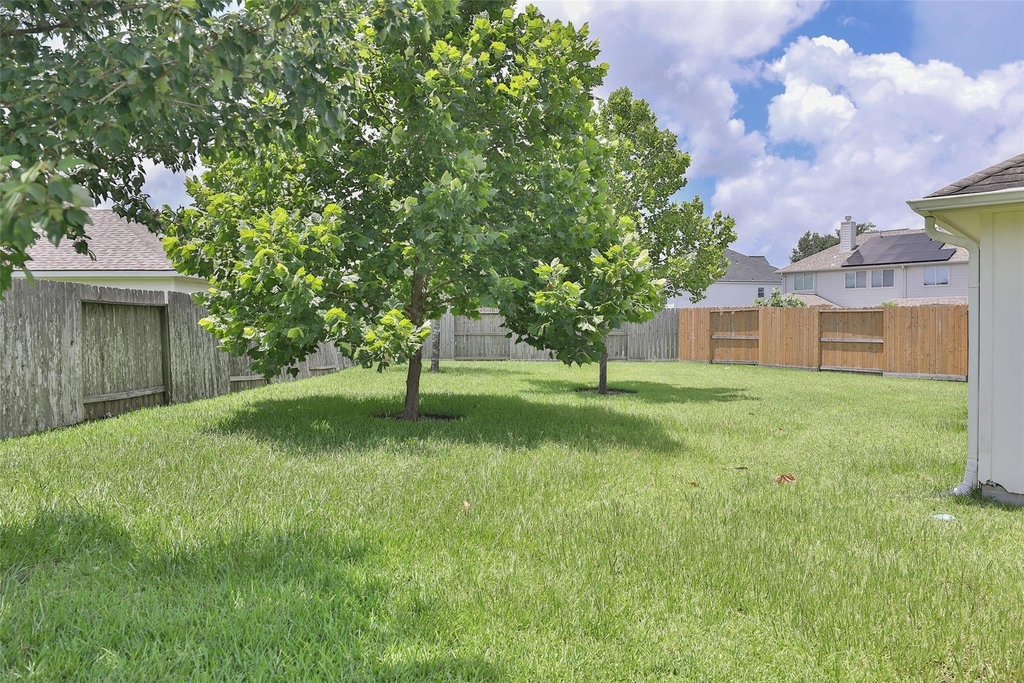 26738 Abbey Springs Lane - Photo 27