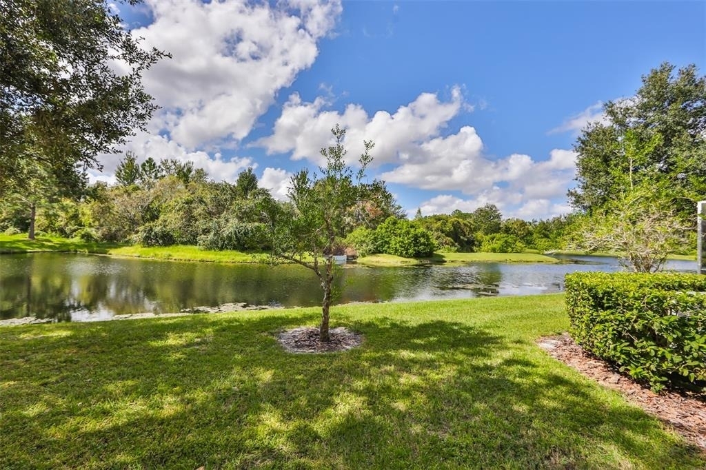 26948 Juniper Bay Drive - Photo 27