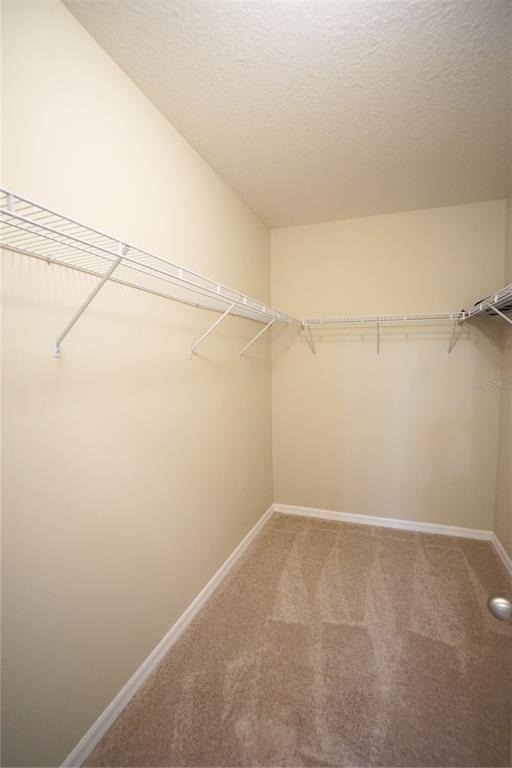 13107 Canopy Creek Drive - Photo 14