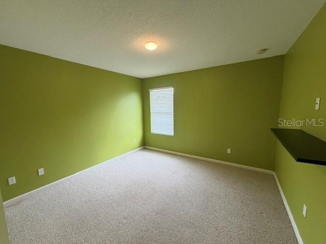 9118 Sabal Pine Way - Photo 3