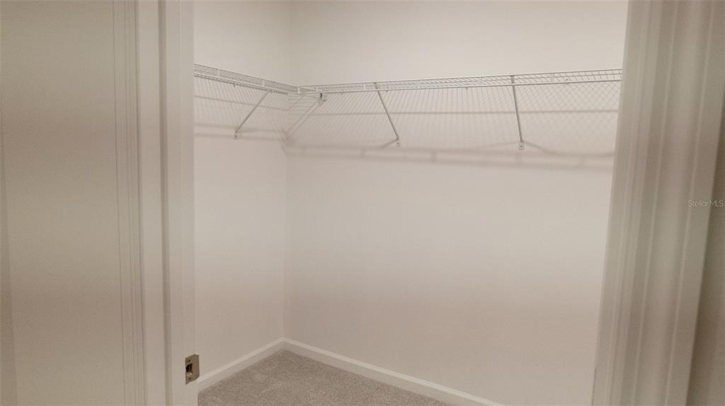 6433 Domizio Drive - Photo 11