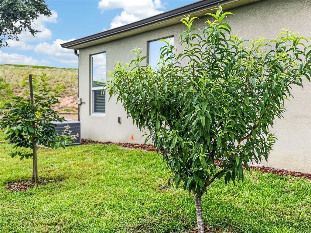 2062 Redbay Avenue - Photo 37