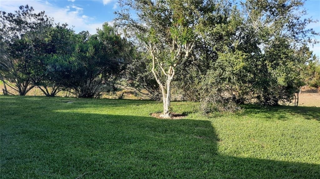 1315 Elli Circle - Photo 2