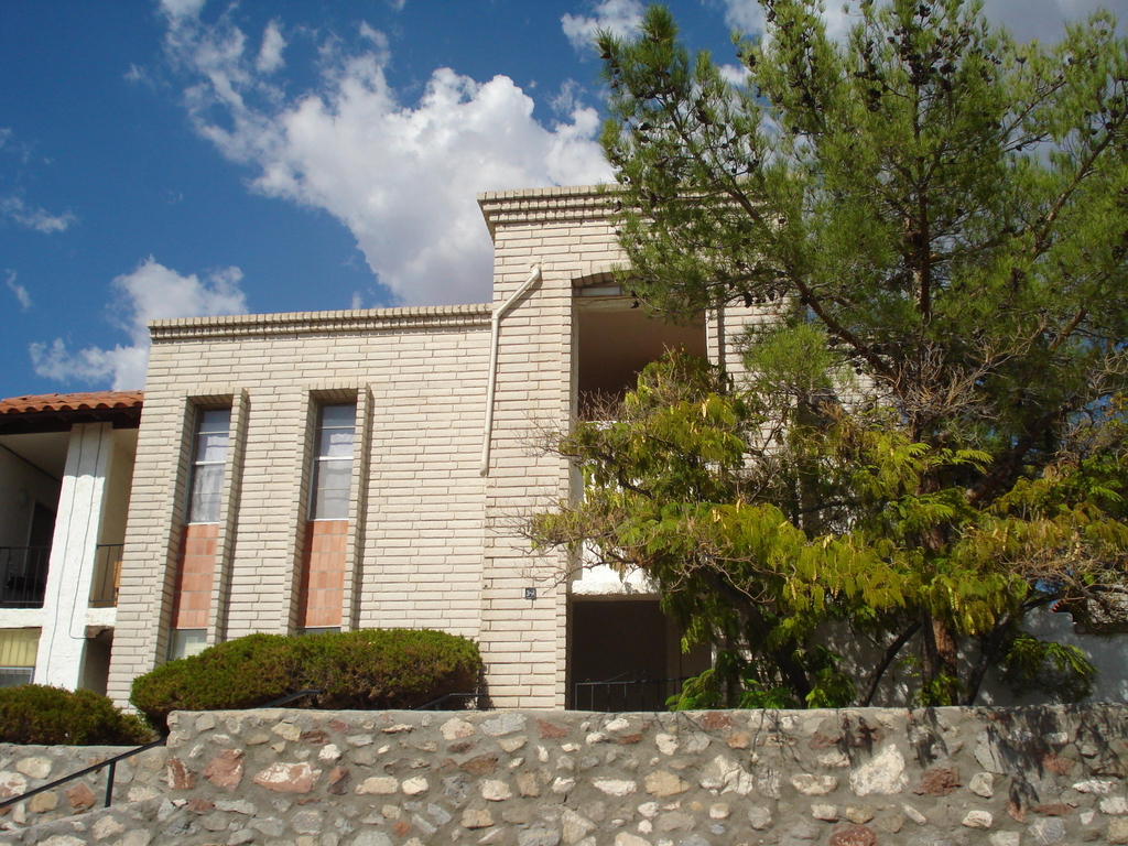 6201 Escondido Drive - Photo 13