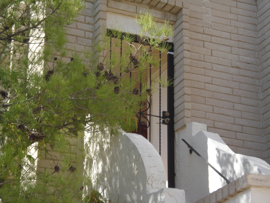 6201 Escondido Drive - Photo 14