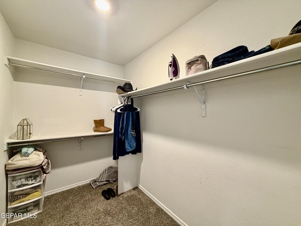 14608 Adonis Blue Court - Photo 13