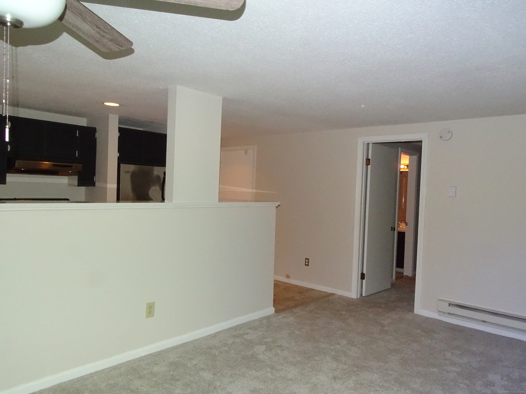 41 River Colony - Photo 7