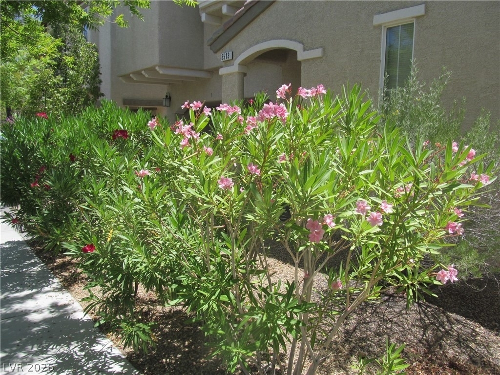 8513 Orly Avenue - Photo 2