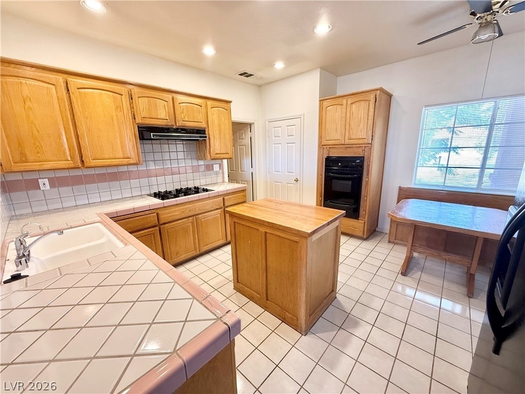 3810 N Mount Charleston Drive - Photo 8