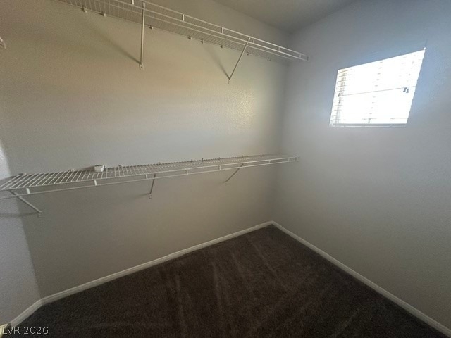 574 Poplar Leaf Street - Photo 11