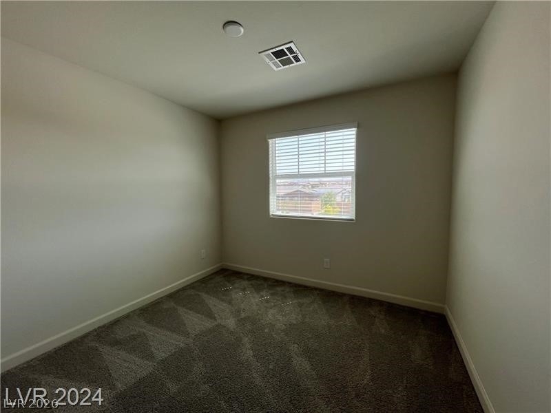 649 Pickled Pepper Place - Photo 15