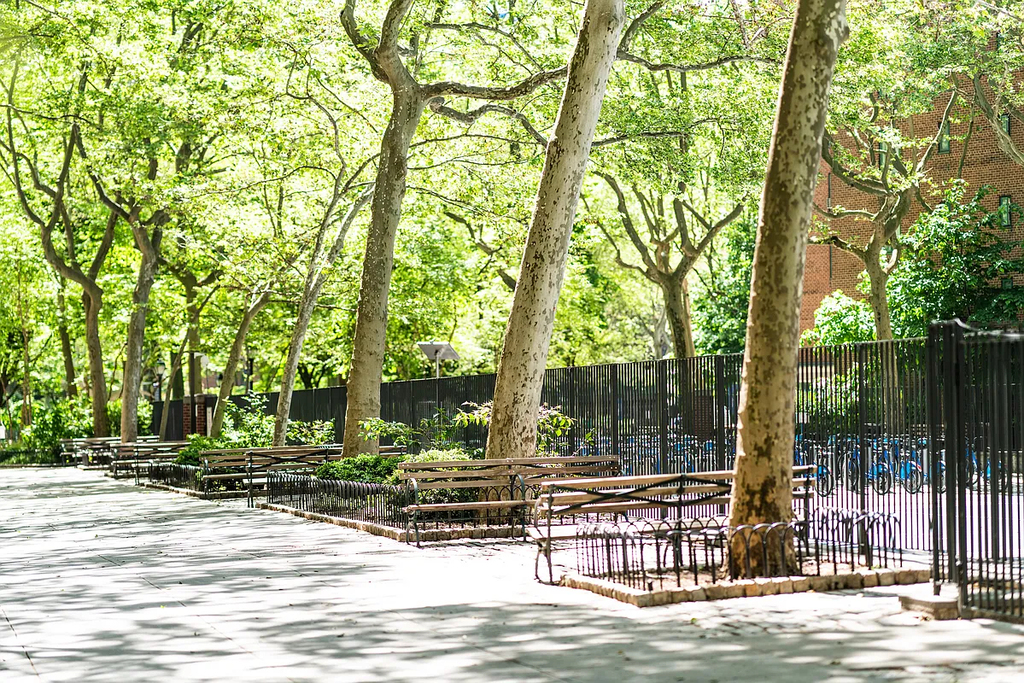 East 20s & Avenue C, Manhattan, NY - Photo 12
