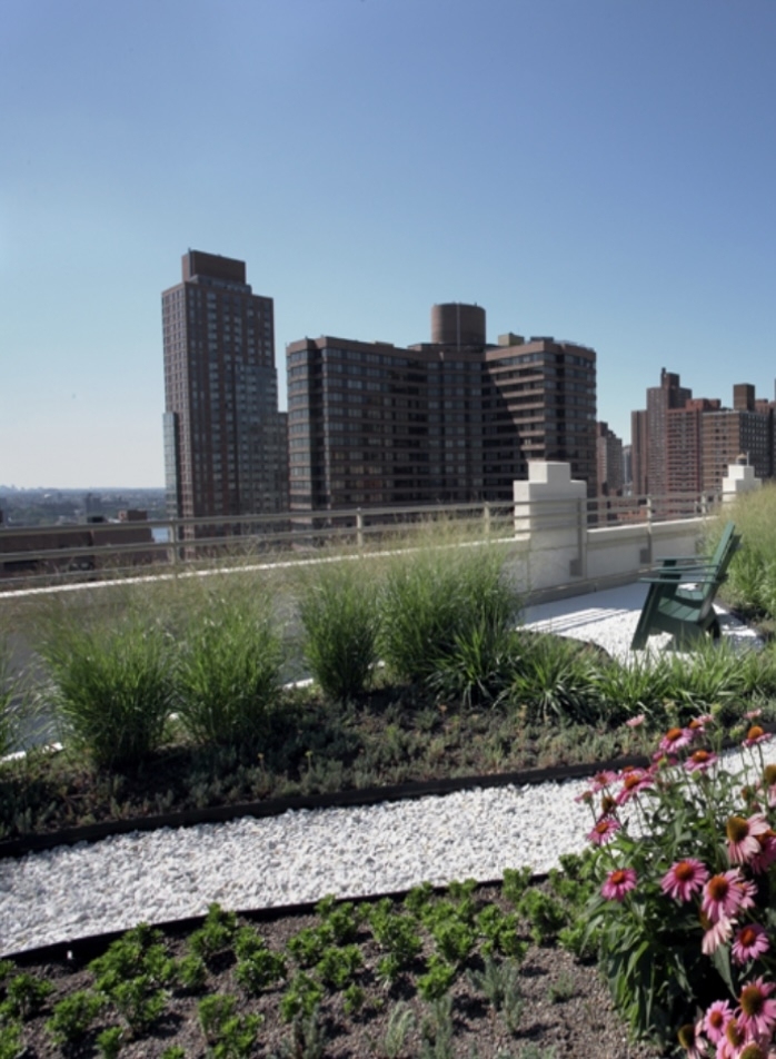 Lexington Avenue / 97th Street - Photo 12