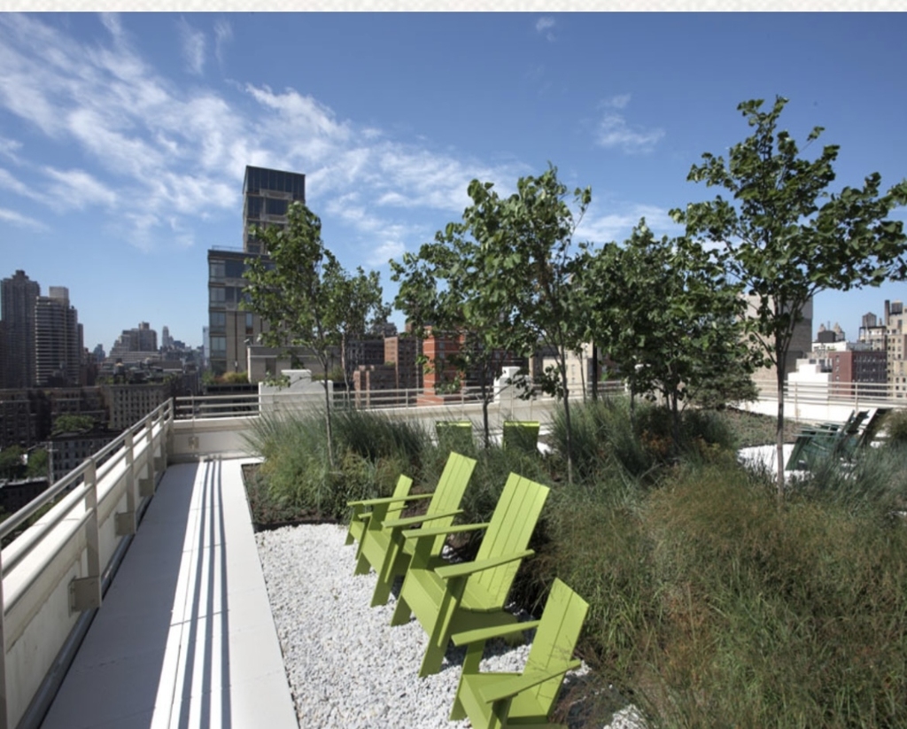 Lexington Avenue / 97th Street - Photo 13