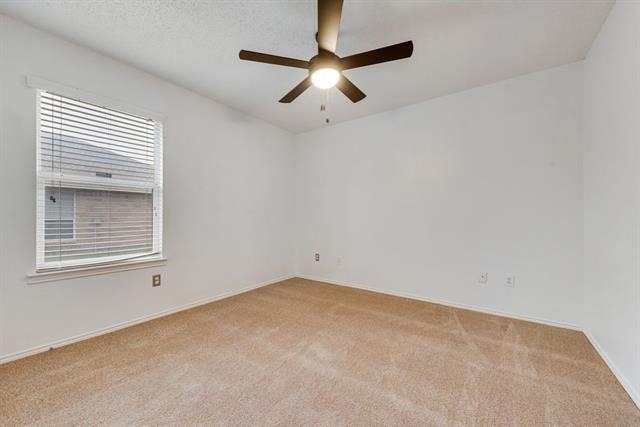 9909 Coolidge Drive - Photo 17
