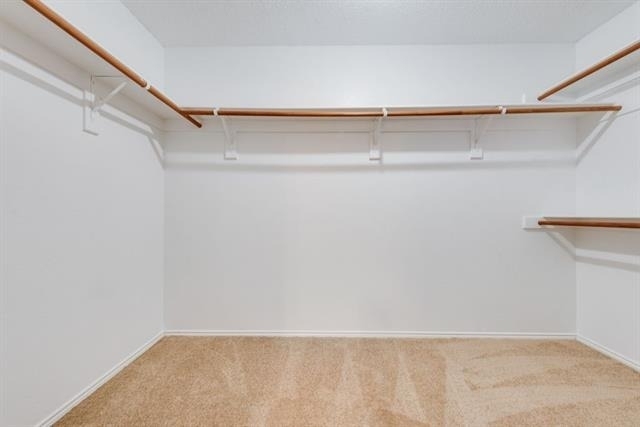 9909 Coolidge Drive - Photo 25