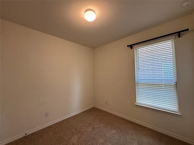 8712 Antelope Flat Lane - Photo 15