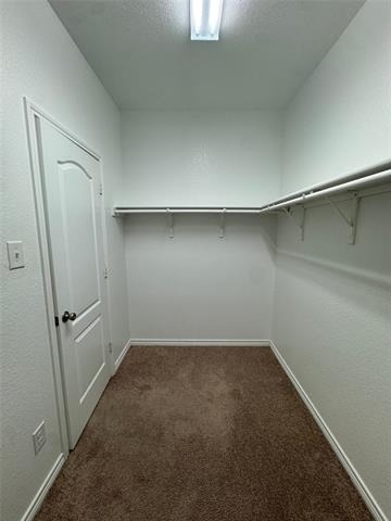 8712 Antelope Flat Lane - Photo 11
