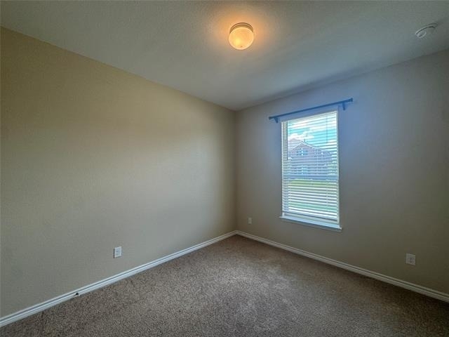 8712 Antelope Flat Lane - Photo 16