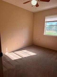 2023 Walker Street - Photo 5
