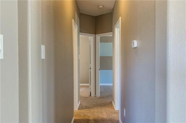 1404 Bluebird Drive - Photo 21