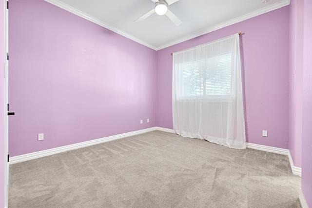 305 Main Street - Photo 22