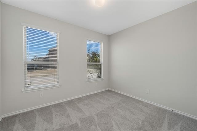 1813 Wayne Lane - Photo 15