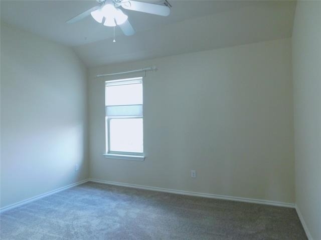 2925 Morning Star Drive - Photo 30