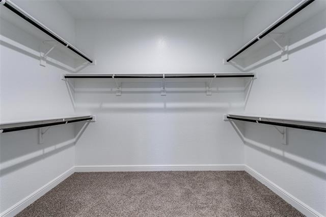 11536 Wolfhound Drive - Photo 18