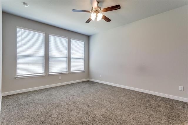 11536 Wolfhound Drive - Photo 14