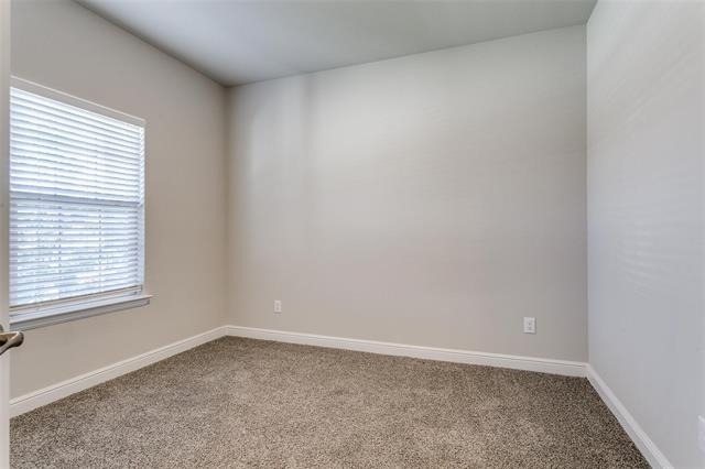 11536 Wolfhound Drive - Photo 22