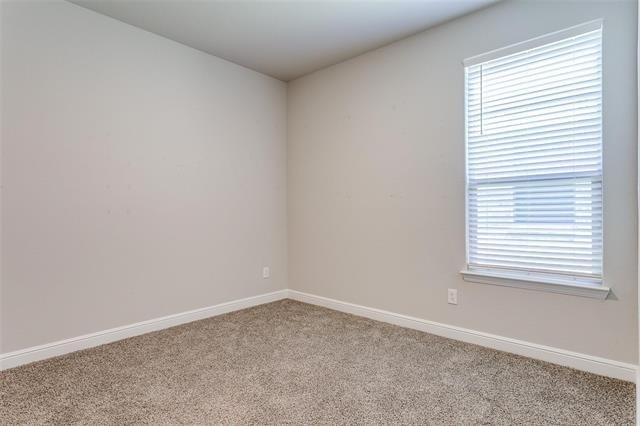 11536 Wolfhound Drive - Photo 20