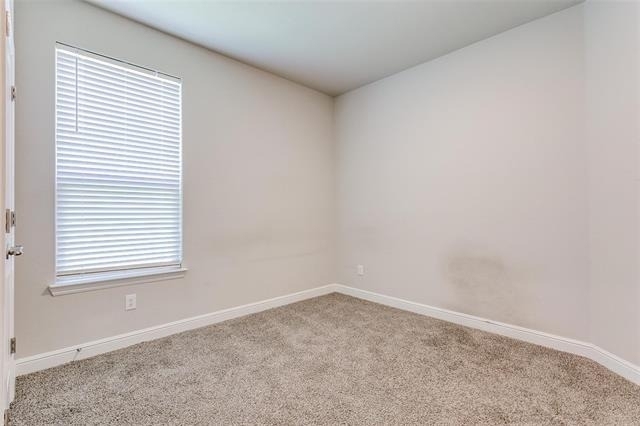 11536 Wolfhound Drive - Photo 19