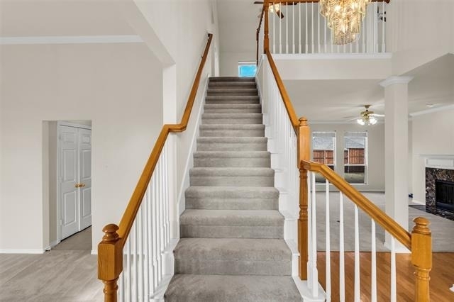 2429 Clear Field Drive - Photo 20