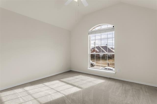 2429 Clear Field Drive - Photo 11