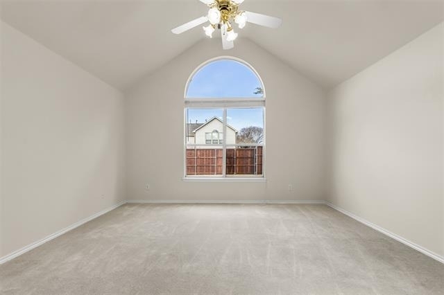 2429 Clear Field Drive - Photo 27