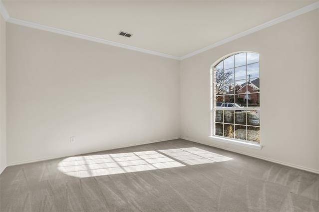 2429 Clear Field Drive - Photo 26