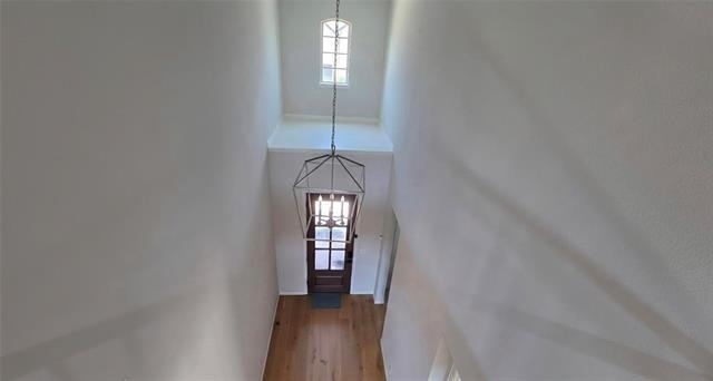 1629 White Snowberry Lane - Photo 19