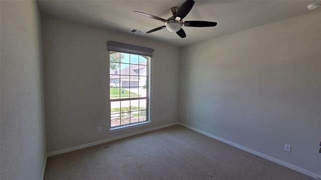 1629 White Snowberry Lane - Photo 15