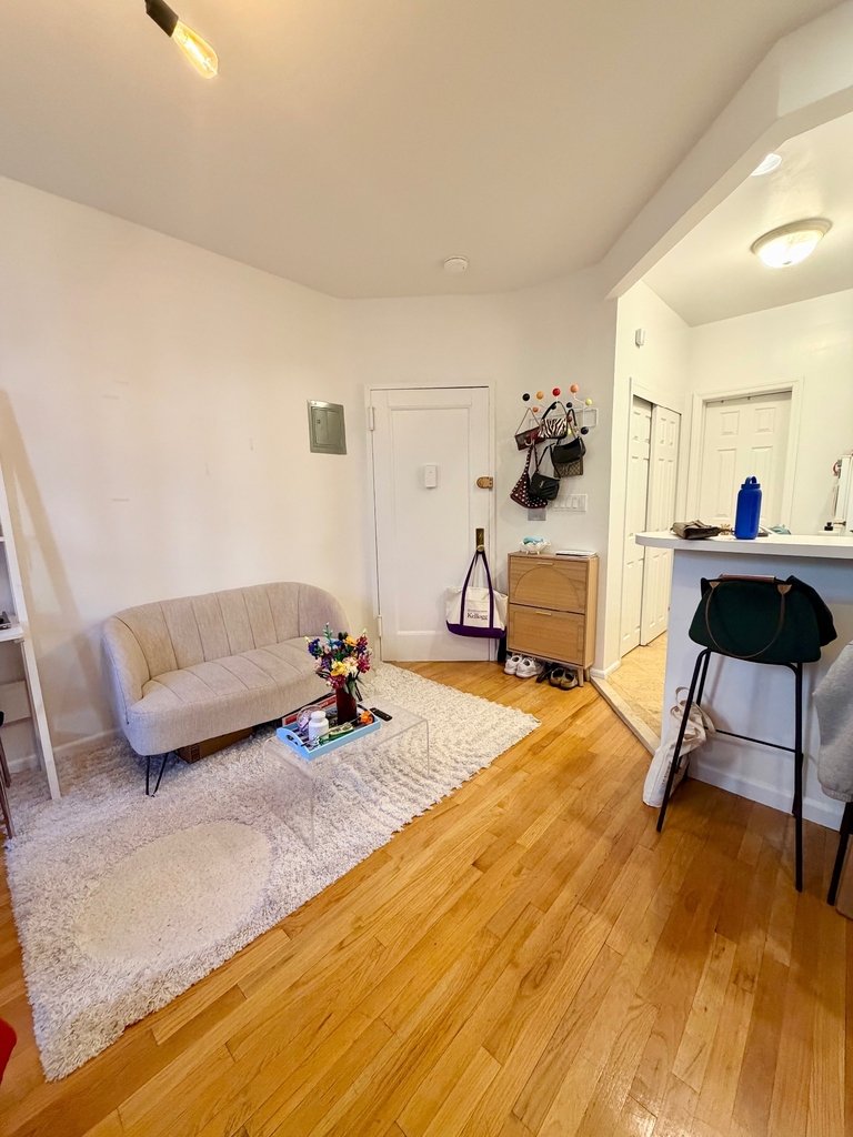 534 East 83rd Street - Photo 1