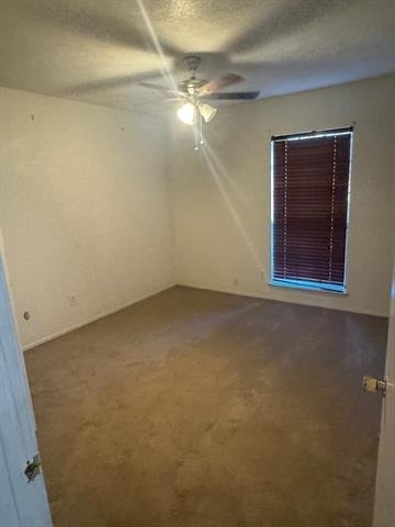 4706 Seaport Drive - Photo 12