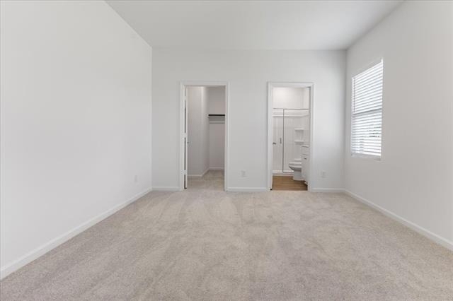 4406 Wood Fern Road - Photo 17